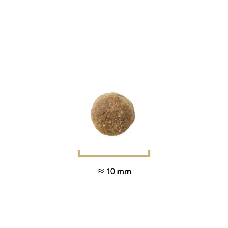 Gros plan sur une croquette individuelle de 10 mm marron au canard des Recettes de Daniel formule Mi