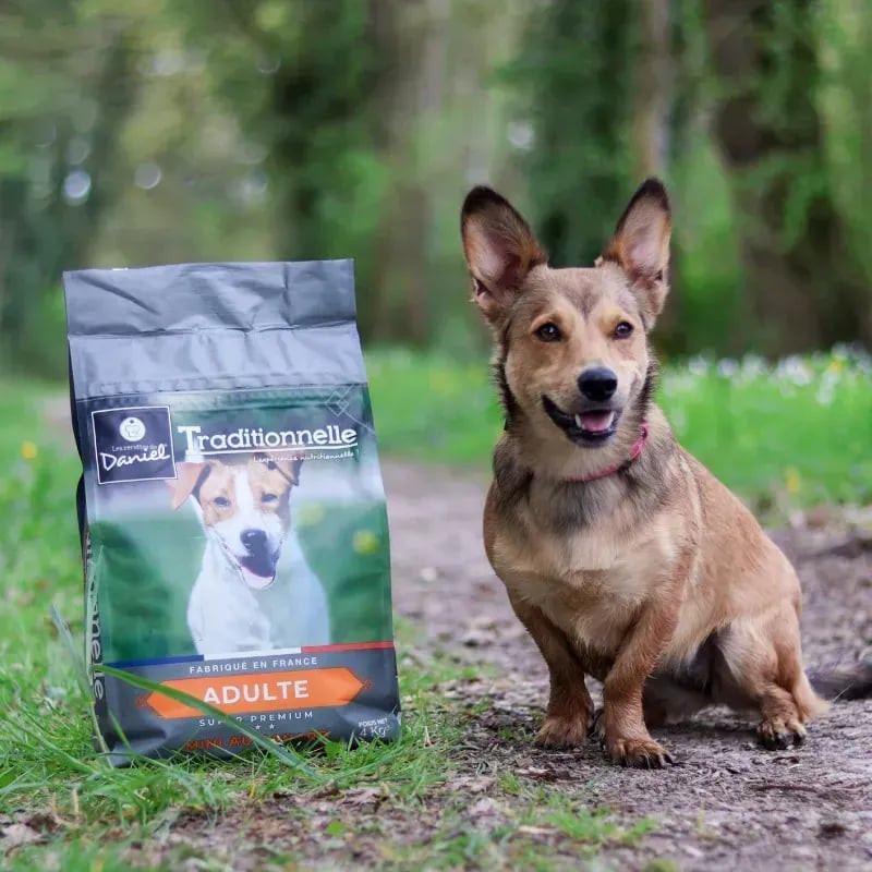Petit chien marron assis joyeusement près du sac de 4kg croquettes canard Les Recettes de Daniel sur