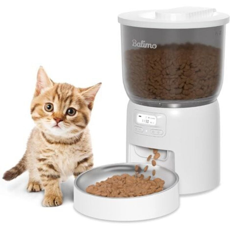 Adorable chaton tigré orange assis près du distributeur automatique Balimo blanc 3L, croquettes dist