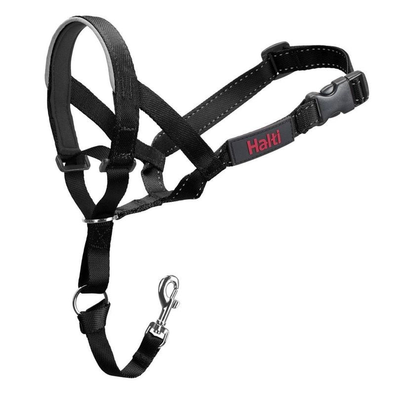 Licol Halti Headcollar taille 2 noir Company of Animals, vue complète montrant bande nasale rembourr