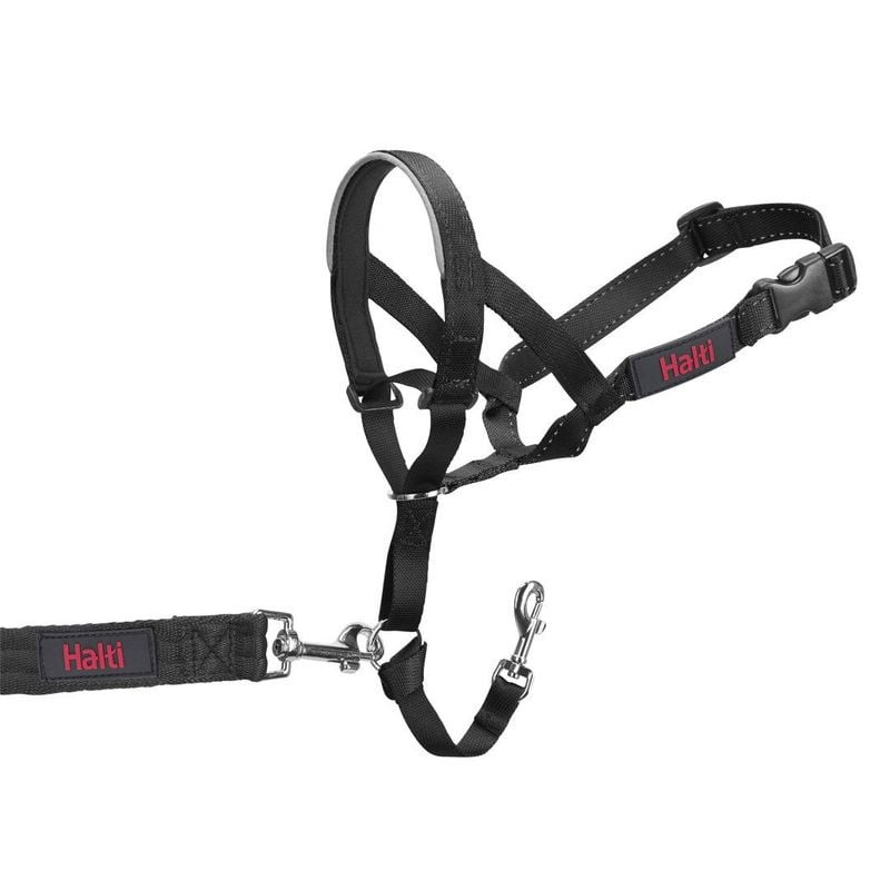Gros plan sur la zone d'attache de laisse du licol Halti Headcollar taille 2 noir avec anneau D méta