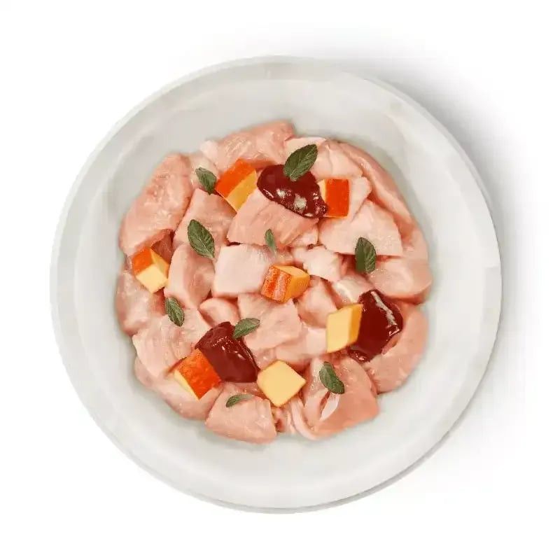 Gros plan de la pâtée Terra Felis pour chat dans bol blanc, avec morceaux de poulet, légumes, carott