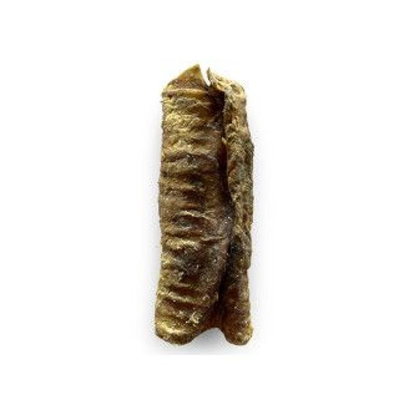 Gros plan packshot Vadigran 1143609 friandise naturelle trachée de bœuf pour chien, un seul cylindre