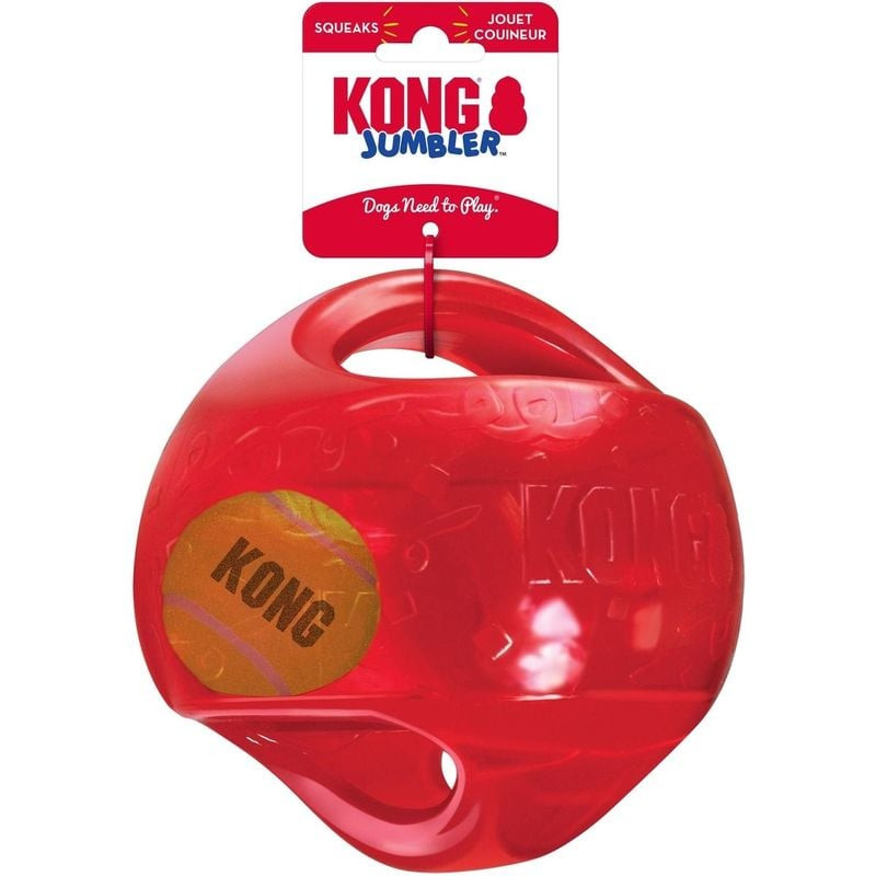 Deux Jack Russell Terriers jouent avec la KONG Jumbler Ball LXL orange dans un jardin entouré de jon