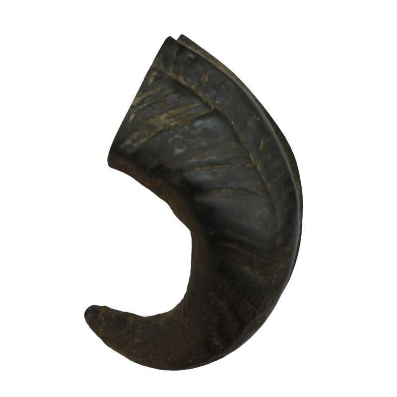 Corne de buffle Bubimex 1143325 taille M pour chien (230g), naturelle brun foncé courbée isolée sur 