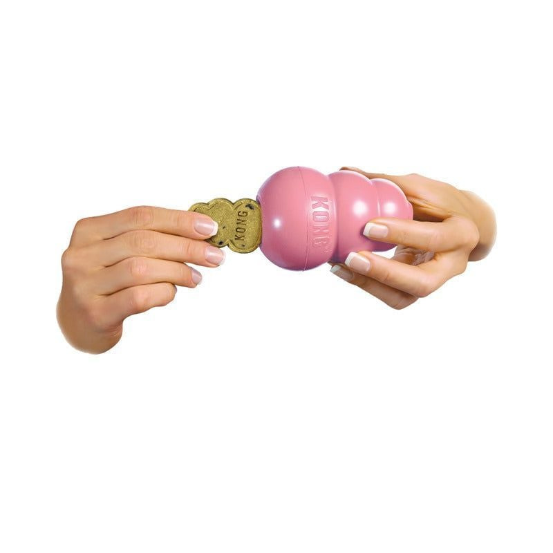 Mains montrant comment remplir un jouet KONG Puppy rose avec des friandises en forme de cœur dorées,