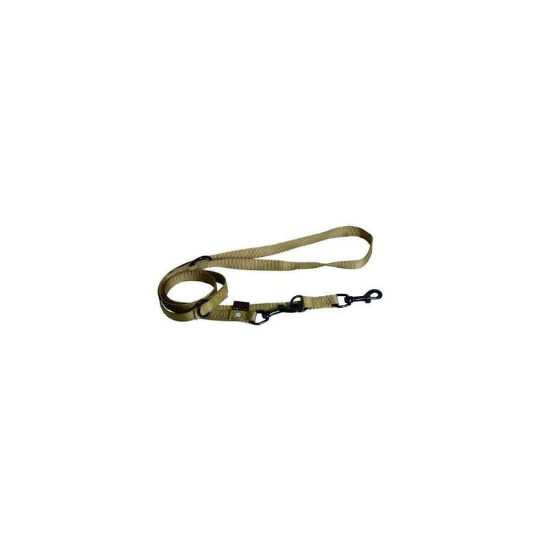 Gros plan sur la laisse nylon 3 points Martin Sellier 1143248 beige : sangle nylon, anneaux D noirs,
