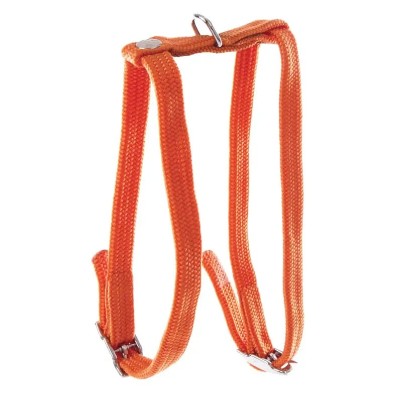Harnais H nylon Martin Sellier orange pour petits chiens ou chats, sangles tubulaires réglables, bou