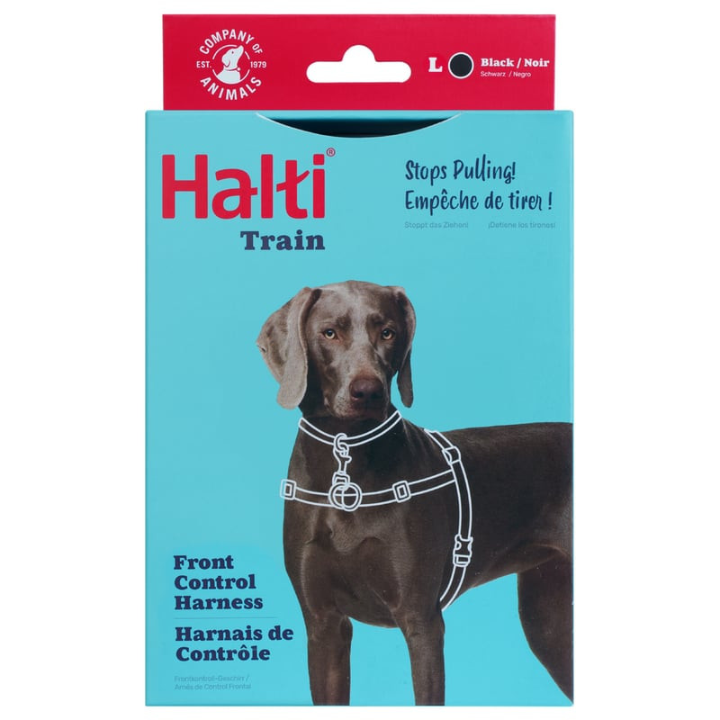 Gros plan sur Rhodesian Ridgeback portant harnais Halti rouge de face, mettant en avant l'attache th