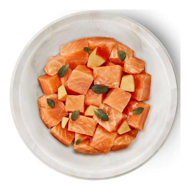 Gros plan détaillé du contenu de la pâtée Terra Felis 1115900 : morceaux de saumon frais avec cubes 