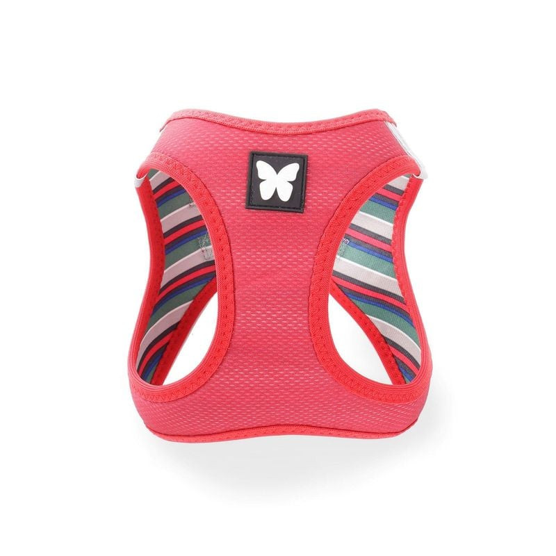 Vue avant du harnais mesh Martin Sellier rouge XL, mettant en avant la construction mesh respirante,