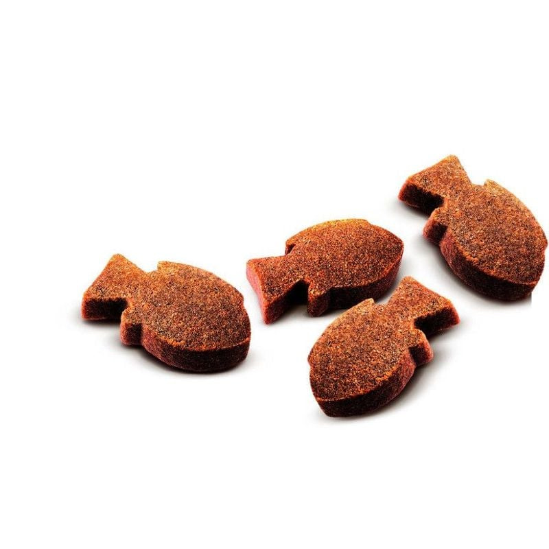 Gros plan sur friandises Carnilove en forme de poisson, brun-roux, texture semi-humide, disposées su