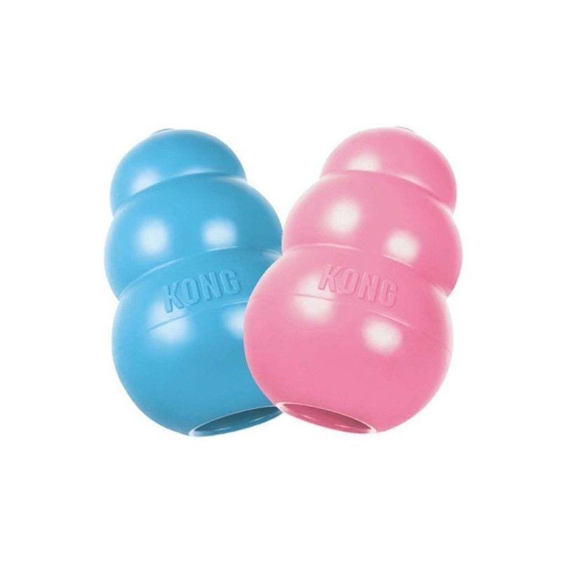Chiot marron mâchant jouet KONG Puppy M bleu en intérieur sur tapis, focus rapproché sur le jeu enga