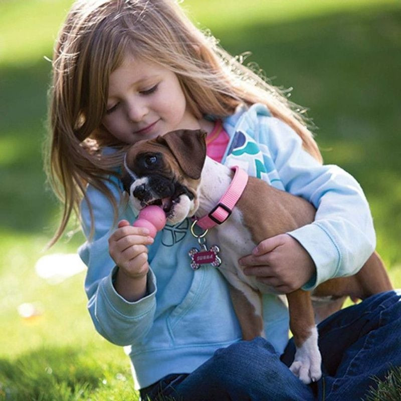 Fille tenant un chiot boxer en extérieur, tous deux interagissant avec le jouet KONG Puppy XS rose s