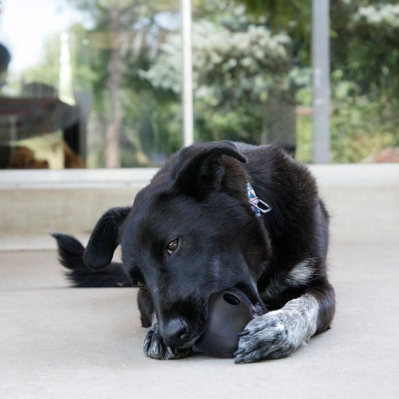 Gros plan angulaire sur la balle pour chien KONG Extreme en caoutchouc noir, mettant en valeur la te