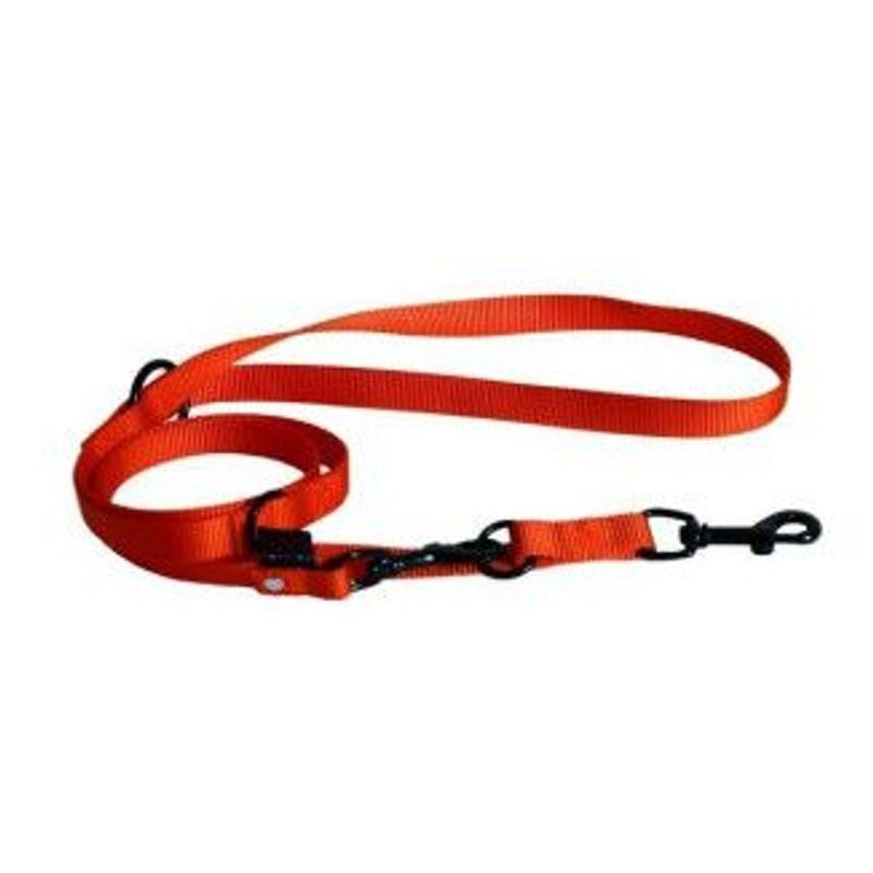 Laisse nylon orange 3 points réglable Martin Sellier avec mousquetons carabine noirs et points d'att