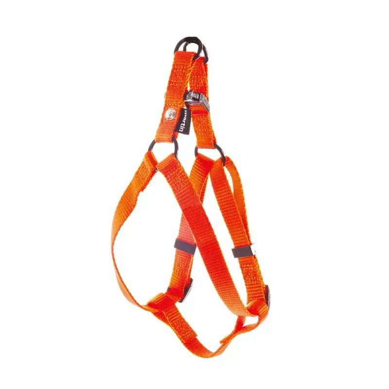 Gros plan sur harnais baudrier Martin Sellier 1143169 orange (Baud L) : étiquette marque, anneau D m