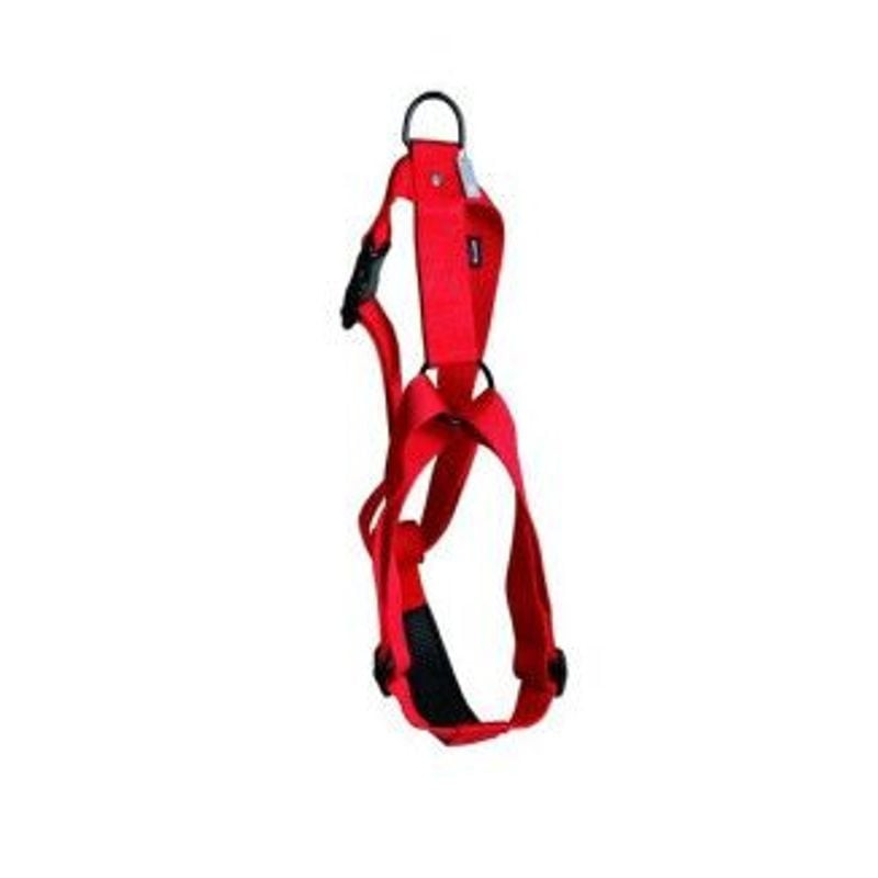 Gros plan sur harnais nylon rouge Martin Sellier pour chien, avec sangles réglables et détail de la 
