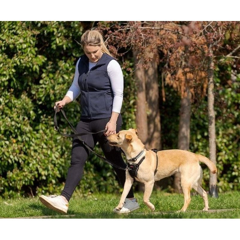 Femme promenant un labrador jaune avec harnais Halti Non-Pull noir taille M dans un parc arboré et h