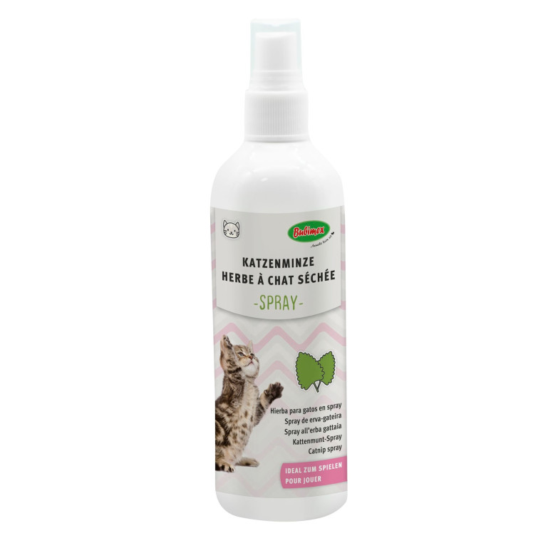 Bubimex Herbe à Chat 150ml : Stimulez jeu et détente naturelle
