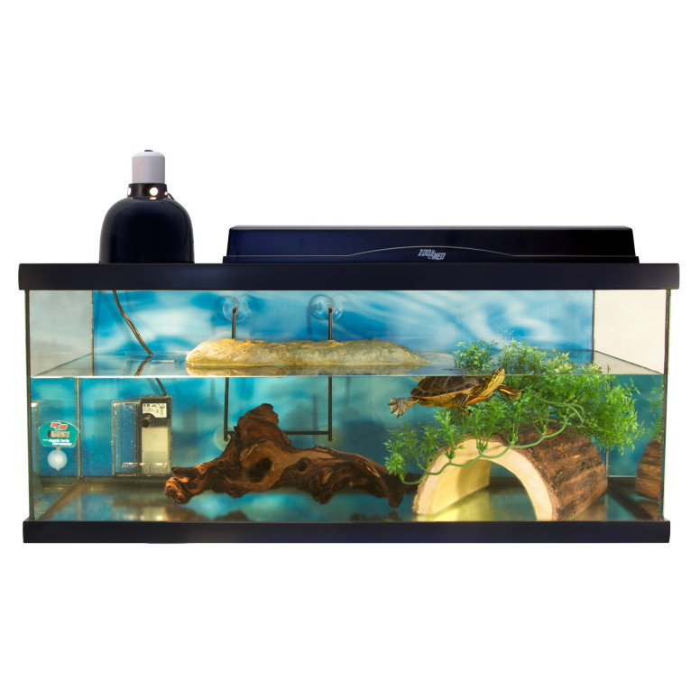 Abri tortue Zoomed XL : résine bois, confort et sécurité