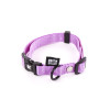 Collier Martin Sellier nylon réglable parme 16-30/45 pour chien et chat | DO&KA