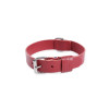 Collier chic Martin Sellier Coupe Franc en cuir rouge (30/55cm) pour chien