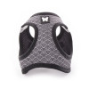 Harnais Martin Sellier Mesh Eventail noir M pour chien et chat | DO&KA
