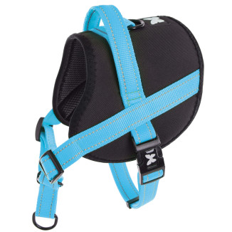 Harnais éducatif Martin Sellier Hop and Stop turquoise L pour chien et chat | DO&KA