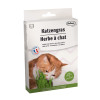 Herbe à chat Bubimex 100g - Naturelle & Digestive pour chats
