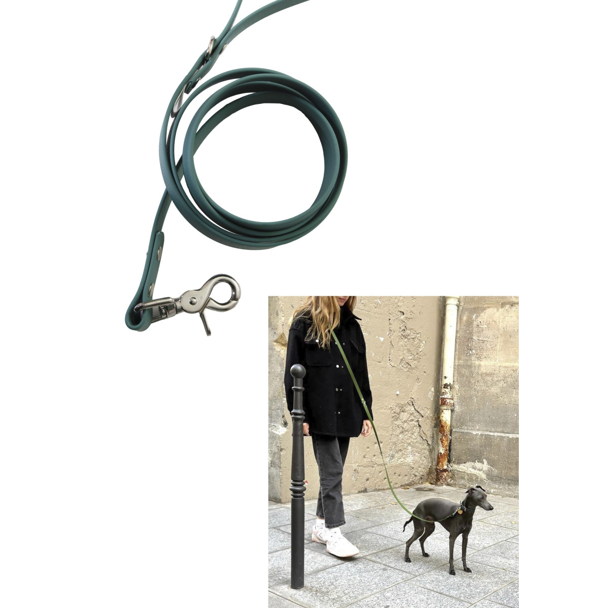 Laisse Anicool Biothane : Mains libres, vert chasseur, taille S