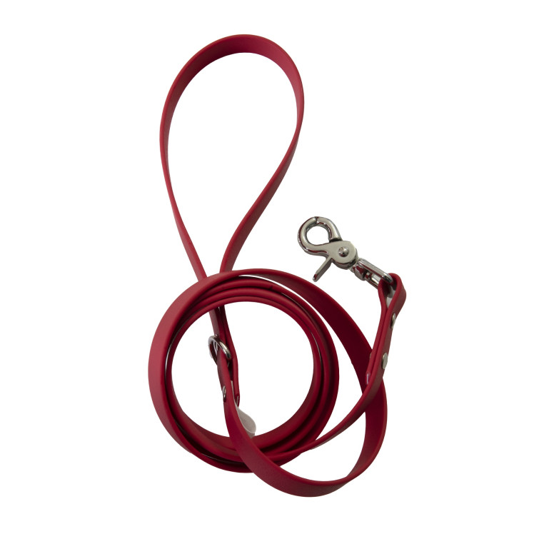 Laisse ANICOOL Biothane Taille S - Robuste & Élégante pour Promenades