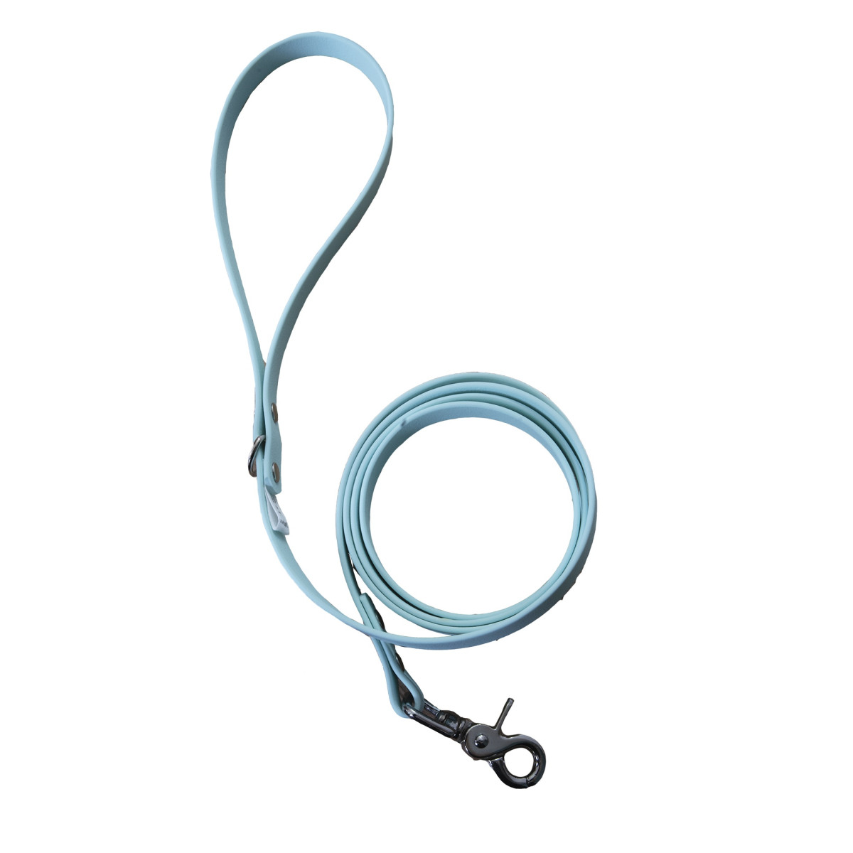 Laisse chien ANICOOL turquoise - Biothane résistant, 1,50m, taille M
