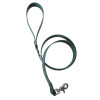 Laisse Anicool Biothane Vert Chasseur - Taille S (1,10m) pour chien
