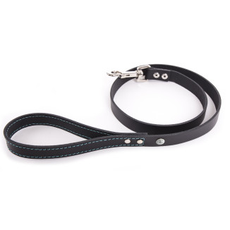 Laisse confortable Martin Sellier Flash T100 noir et turquoise (100cm) pour chien