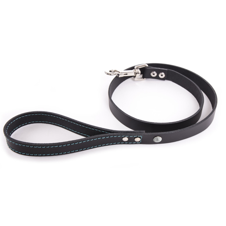 Laisse confortable Martin Sellier Flash T100 noir et turquoise (100cm) pour chien
