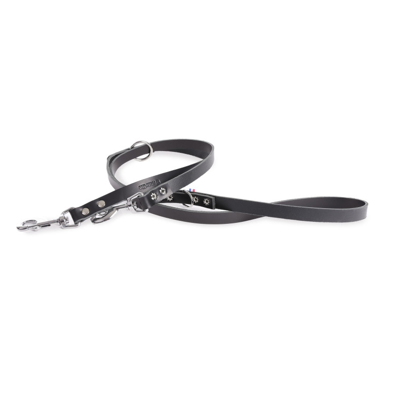 Laisse de dressage 3 points Martin Sellier nylon noir pour chien