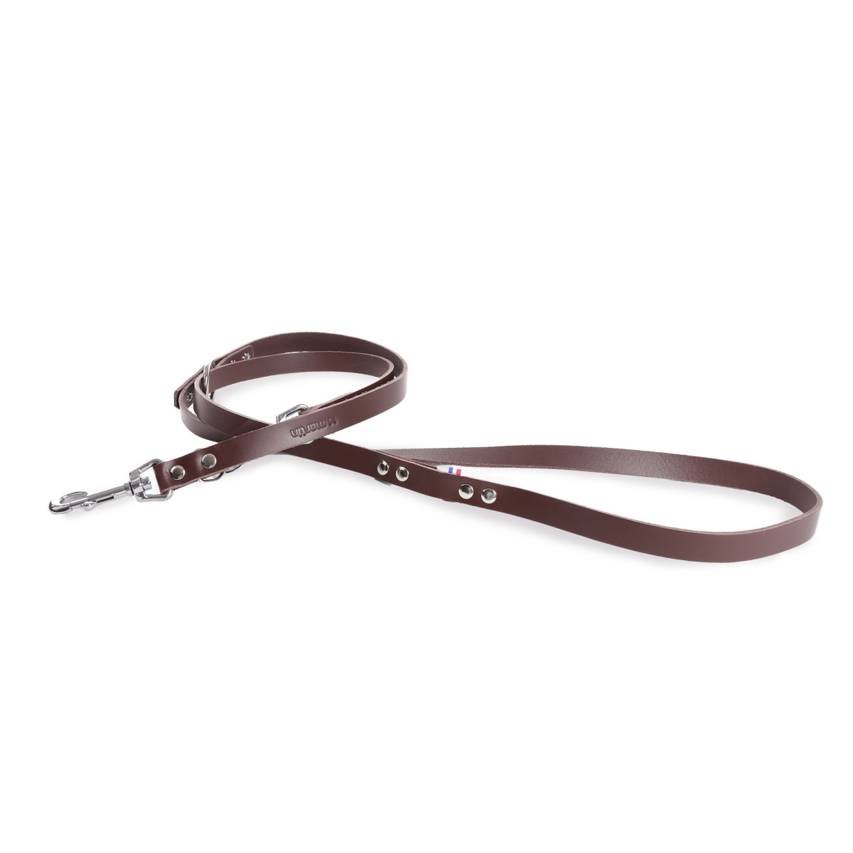 Laisse de dressage ajustable Martin Sellier (18mm - 200cm) pour chien