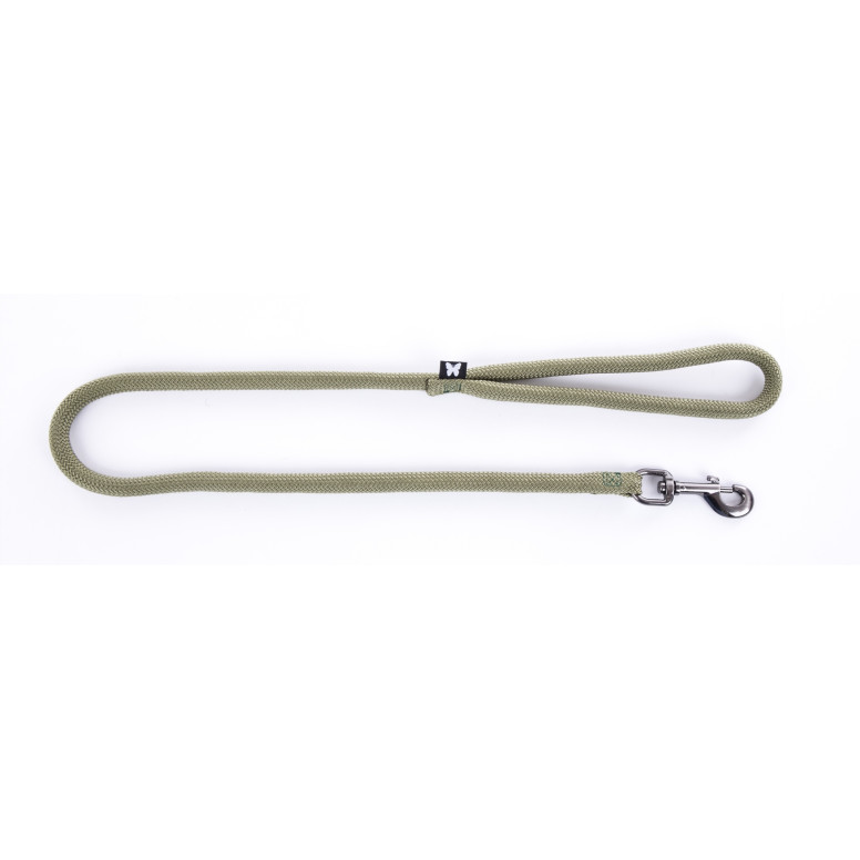 Laisse Martin Sellier 1m - Nylon kaki résistant pour chien et chat