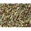 Perroquet tropic Vadigran 2,5kg pour oiseaux | DO&KA
