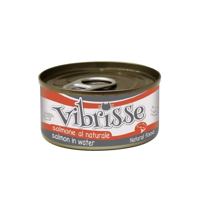 Packshot de la pâtée naturelle au saumon pour chat Nayeco Vibrisse en sachet de 70g avec saumon frai