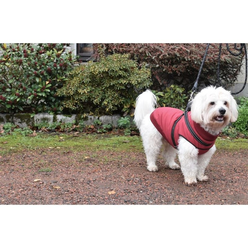 Autre vue d'un chien portant le manteau Bobby 1083469 Easy, montrant la fermeture éclair dorsale et 