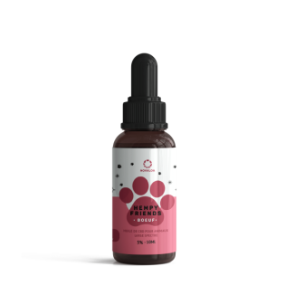 Huile Chanvre ANICOOL Chien 10-30kg Goût Bœuf - Bien-être & Relaxation