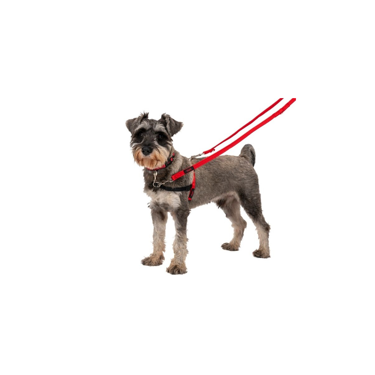 Laisse Halti 15mm rouge : 8 fonctions, nylon durable pour chien