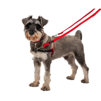 Laisse Halti 15mm rouge : 8 fonctions, nylon durable pour chien