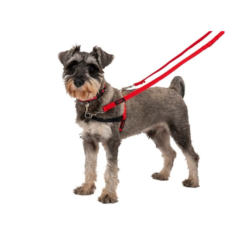 Laisse Halti 15mm rouge : 8 fonctions, nylon durable pour chien