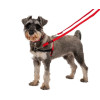 Laisse Halti 15mm rouge : 8 fonctions, nylon durable pour chien