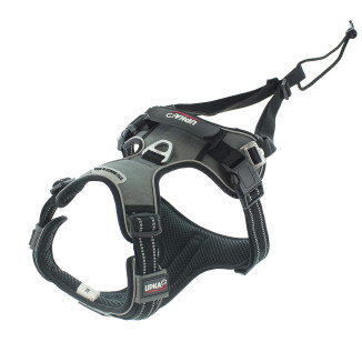 Harnais IDOG Grand Chien Taille L - Confort & Sécurité Maximale
