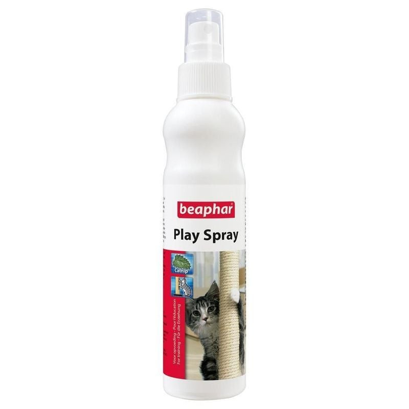 Flacon Beaphar Play Spray, spray attractif à base de cataire pour jouets et griffoirs