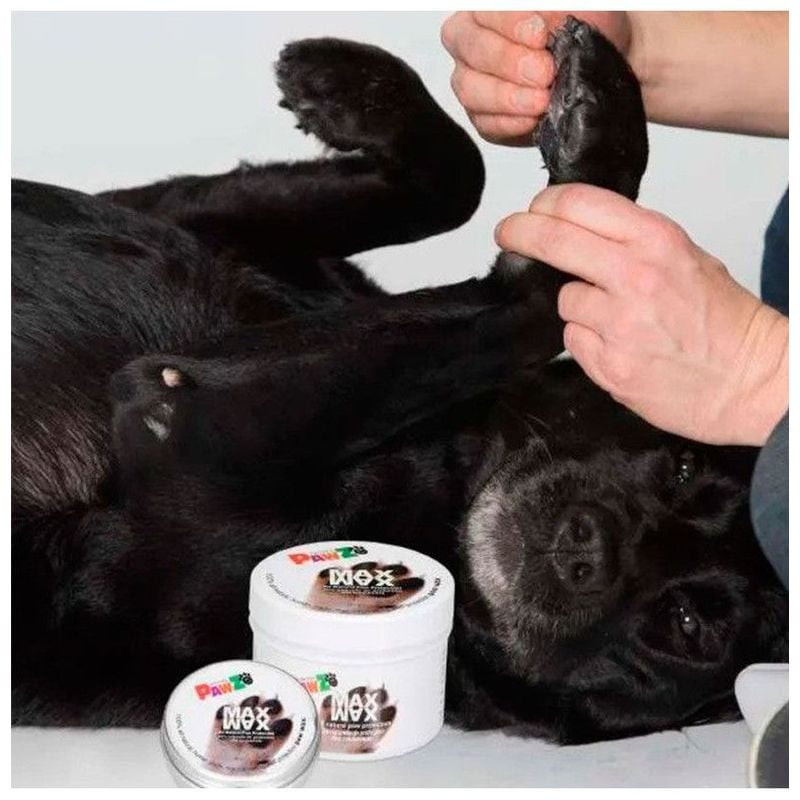 Image lifestyle d'un chien se faisant appliquer de la cire Pawz Maxwax sur une patte par une personn